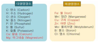 식물에 필수적인 다량영양소와 미량 영양소를 선택하여 나노 영가철의 산화지연제로 사용