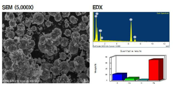 SEM, EDX를 통해 나노 영가철 복합소재 성분 분석