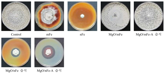 나노 영가철을 이용한 S. minor의 균사 생장 억제 효과