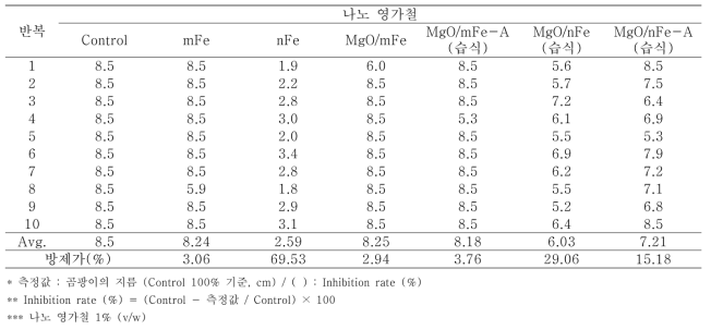 나노 영가철을 이용한 Rhizoctonia solani의 항균활성 검정