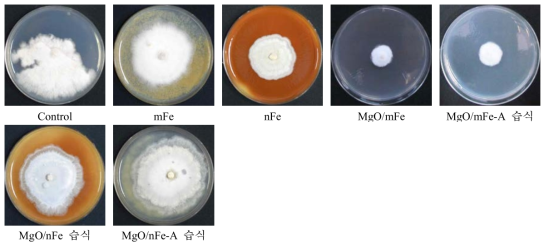 나노 영가철을 이용한 Collectotrichum gloeosporioides의 균사 생장 억제 효과