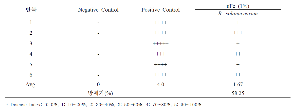 토마토에 접종한 Ralstonia solanacearum에 대한 나노 영가철(nFe)의 항균활성 검정