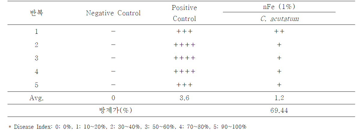 파프리카에 접종한 Colletotrichum acutatum에 대한 나노 영가철(nFe)의 항균활성 검정