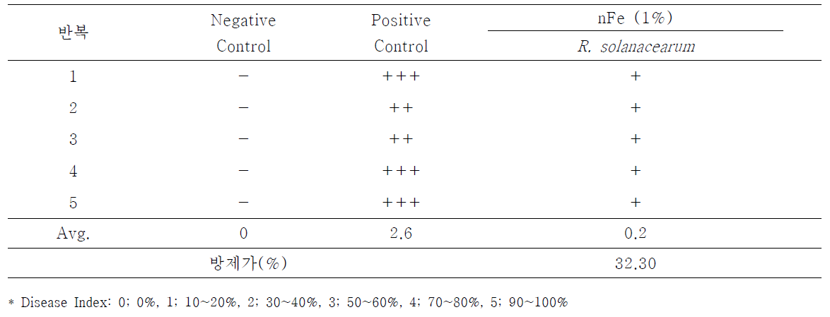 파프리카에 접종한 Ralstonia solanacearum에 대한 나노 영가철(nFe)의 항균활성 검정