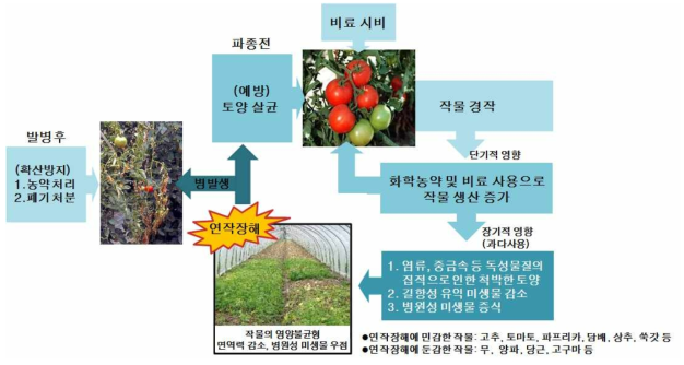 다년간 비료 시비 과잉으로 인한 연작장해 발생 및 그에 따른 피해