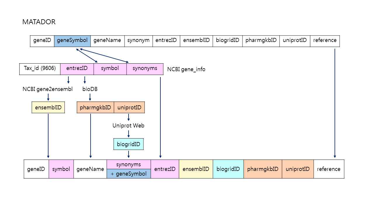 MATADOR 데이터베이스 Gene table attribute 추출 방식