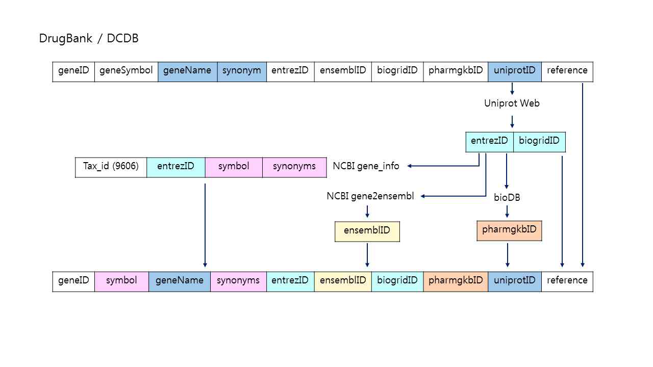 DrugBank/DCDB 데이터베이스 Gene table attribute 추출 방식