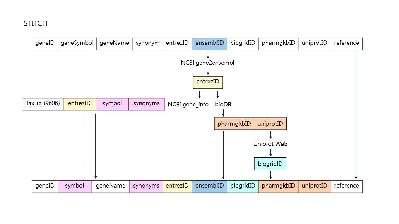 STITCH 데이터베이스 Gene table attribute 추출 방식