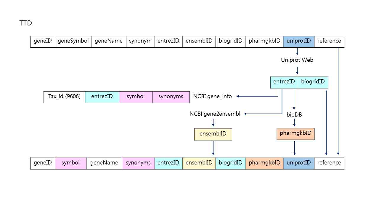 TTD 데이터베이스 Gene table attribute 추출 방식