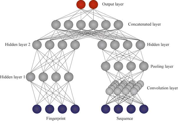 심층신경망(Deep neural network)를 이용한 화합물-단백질 반응 관 계 예측 모델 모식도