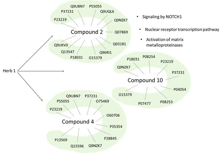 사업단 천연물 (Herb 1)과 그에 해당하는 화합물에 대한 예측 표적 단백질 후 보군 및 이를 통한 천연물 표적 질병 관련 생물학적 경로