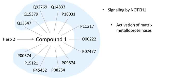 사업단 천연물 (Herb 2)과 해당 화합물에 대한 예측 표적 단백질 후보군 및 이를 통한 천연물 표적 질병 관련 생물학적 경로