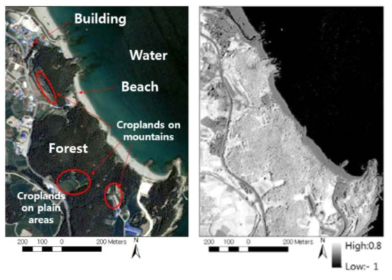 아리랑2(KOMPSAT-2) 위성영상(왼쪽)의 다중분광 밴드를 이용하여 제작한 NDVI 영상(오른쪽)