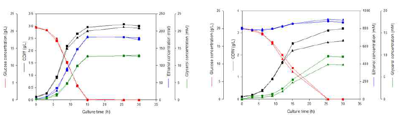 S. cerevisiae BY4741(▲)과 iETS3(■)의 성장 및 발효 곡선 (왼쪽 – 에탄올 비첨가, 오른쪽 – 5% 에탄올 첨가)