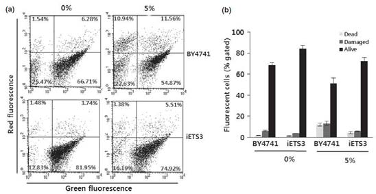 Flow cytometry 기법을 이용하여 에탄올에 의한 S. cerevisiae BY4741과 iETS3의 cytoplasmic membrane permeability 변화 분석 결과