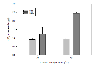상온(30℃)과 고온(42℃)에서 미세 호기적 조건 (80rpm)으로 S. cerevisiae BY4741 배양 시, 세포 내 ROS 함량 변화 분석 결과