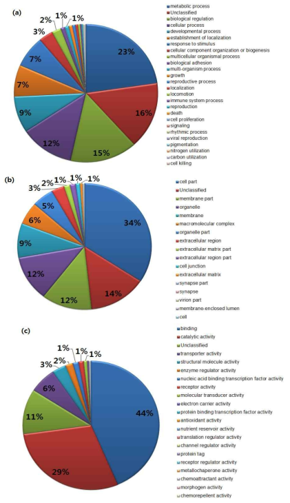 GO분석에서 (a) Biological process, (b) Cellular component, (c) Molecular function 대한 하위 항목.