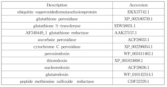 Antioxidant-related genes 항목