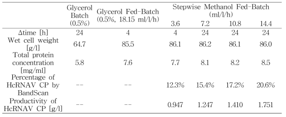 Pichia pastoris 세포를 이용한 HcRNAV109 CP 발효생산성 비교