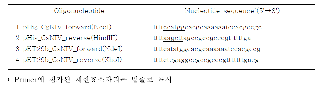 CsNIV ORF3를 증폭시키기 위해서 사용된 oligonucleotide primer