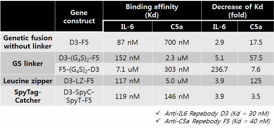 다양한 Bispecific Repebody 형태의 IL-6와 C5a의 결합력 측정 결과