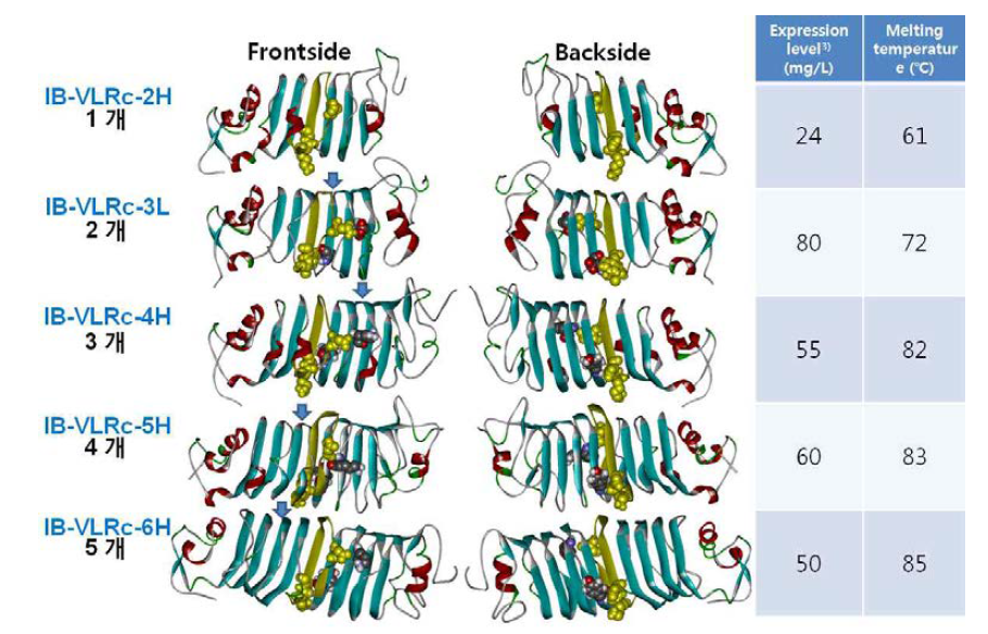 The final snapshot of each protein.