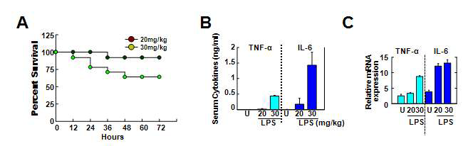 마우스 패혈증 모델에서 LPS의 농도에 따른 생존비율분석 (A)과 전염증성 사이토카인 TNF-α 와 IL-6 의 단백질의 생성능력 (B)과 mRNA의 발현 정도 분석