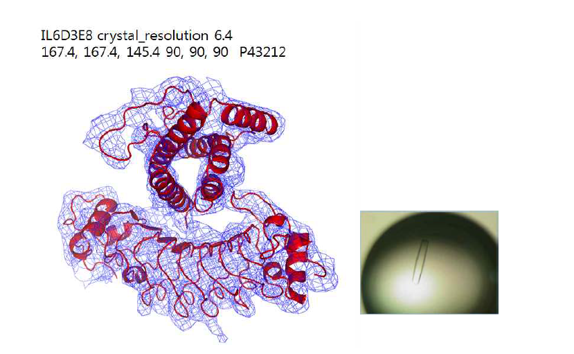 저해상도의 D3E8 인공항체 단백질과 IL6 단백질의 복합체 구조 및 crystal 결정