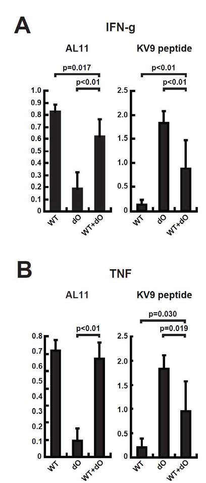 Comparison of cellular immune responses to dominant and subdominant epitopes.