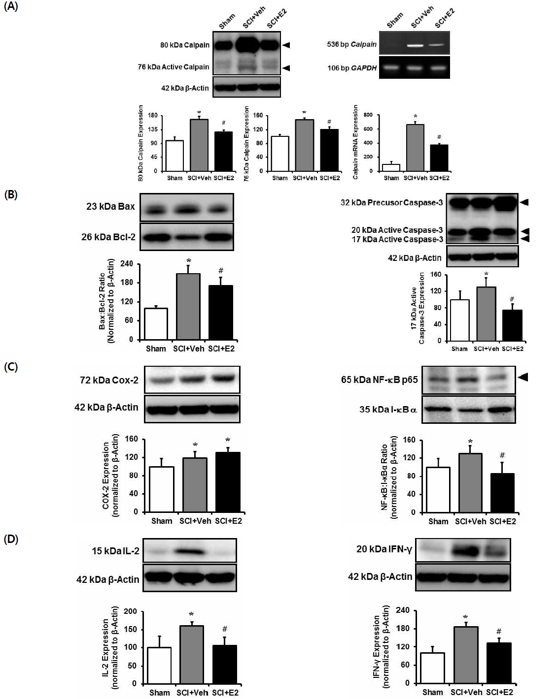 Effects of estrogen on systemic inflammatory response following SCI.