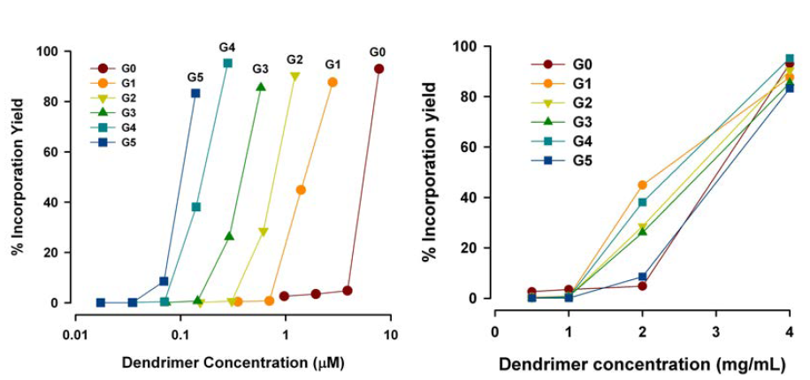 PAMAM 덴드리머 크기별 TD49 화합물의 봉입에 요구되는 몰농도(A), PAMAM 덴드리머 농도에 따른 TD49 화합물의 봉입률(B).