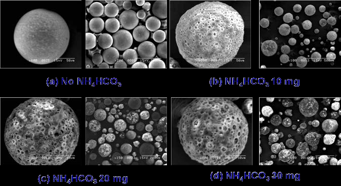 NH4HCO3 의 사용 양에 따른 마이크로 입자의 표면 구조 변화.4 3