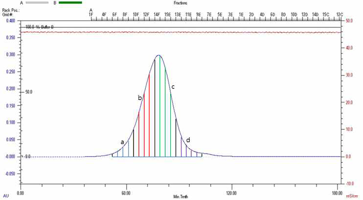 VLP형성 과정을 거친 HcRNAV34 캡시드 단백질의 Size Exclusion Chromatography 결과와 4부분의 fraction