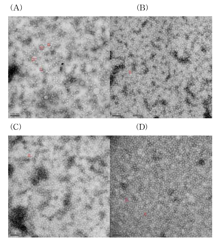 Size Exclusion Chromatography한 후 4부분 fraction의 TEM 결과.