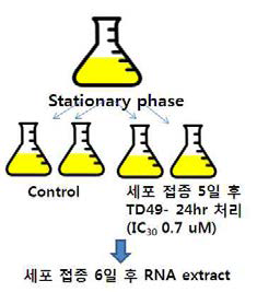 RNA를 추출하기 위한 세포 전처리 과정의 모식도.