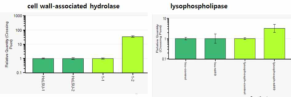 Cell wall-associated hydrolase 유전자와 lysophospholipase에 대한 qRT-PCR 결과.