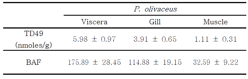Bioaccumulation factors of TD49 for P . olivaceus