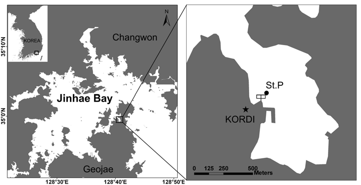Map of the sampling site (St.P) and location of large scale experiment in Jinhae Bay located in the southeastern part of Korea