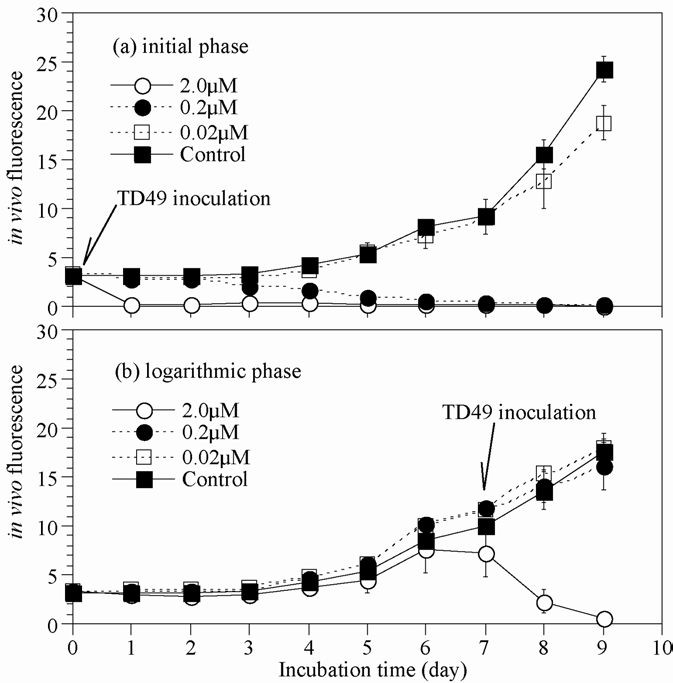 Growth of Chattonella marina at lag and logarithmic growth phase in cultures inoculated with concentration levels (0.02, 0.2 and 2 μM) of TD49 substance.