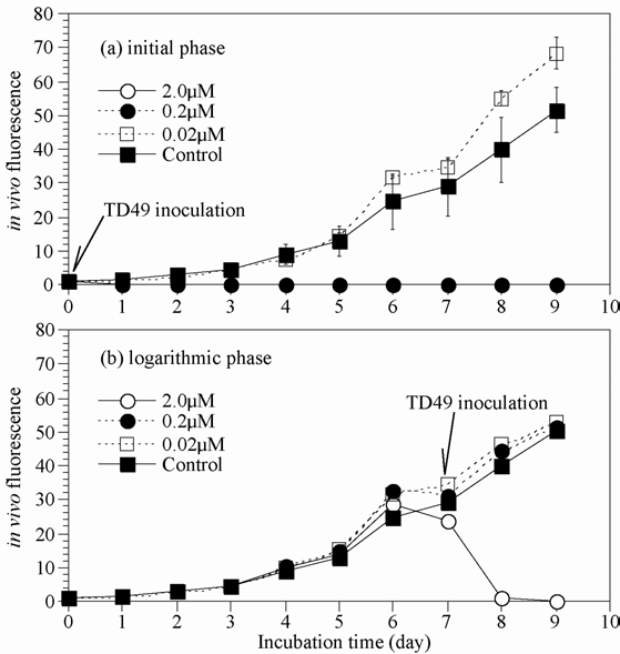 Growth of Chattonella sp. at lag and logarithmic growth phase in cultures inoculated with concentration levels (0.02, 0.2 and 2 μM) of TD49 substance.