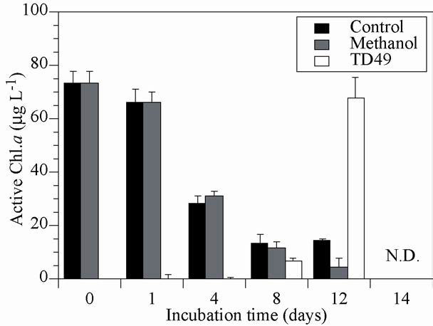 Changes in active chl.a of Akashiwo sanguinea in small scale experiments(SS).