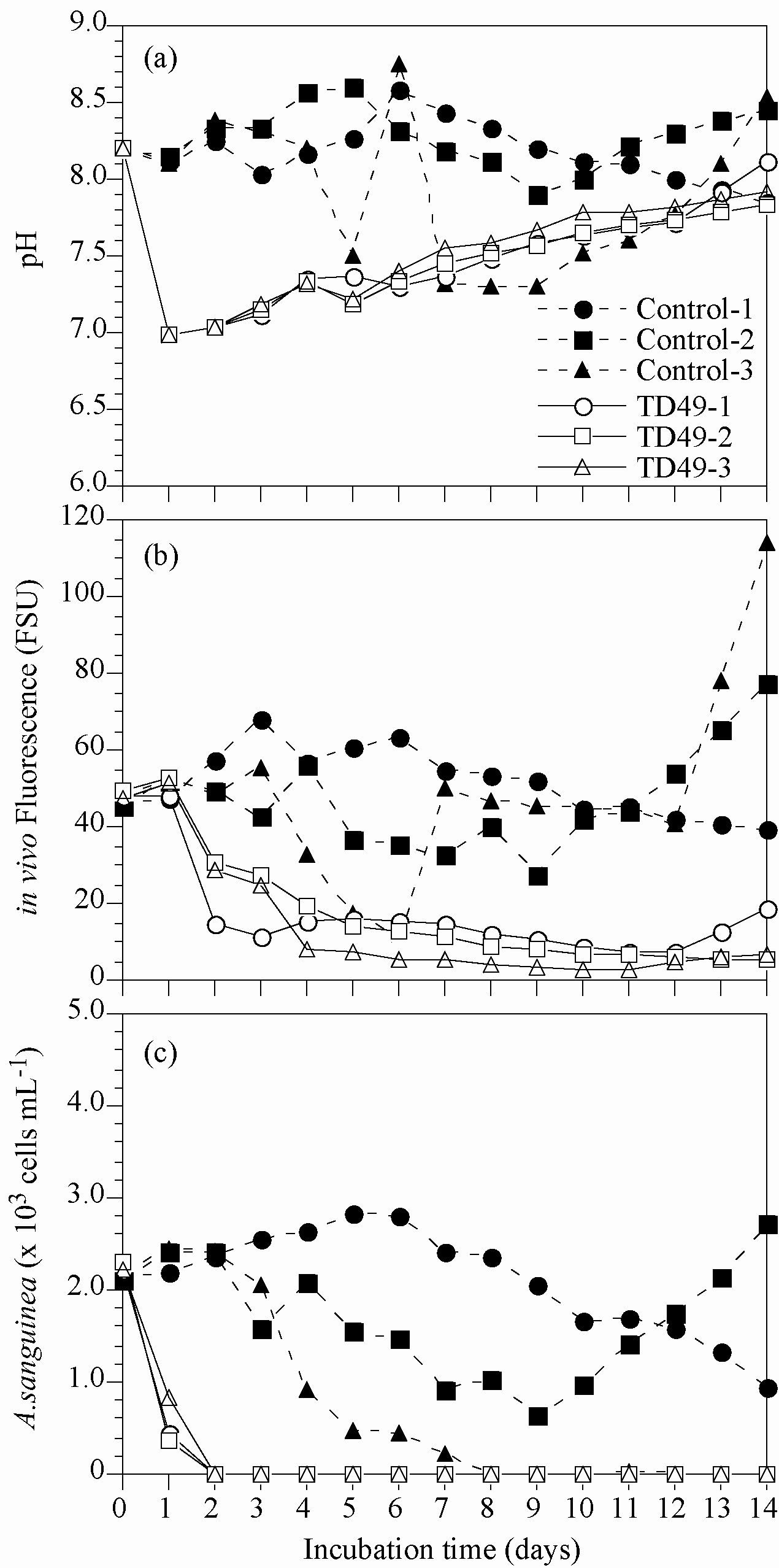 Changes in pH (a), in vivo fluorescence (b) and abundances (c) of Akashiwo sanguinea in middle scale experiments (MS).