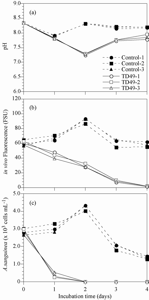 Changes in pH (a), in vivo fluorescence (b) and abundances (c) of Akashiwo sanguinea in large scale experiments (LS).