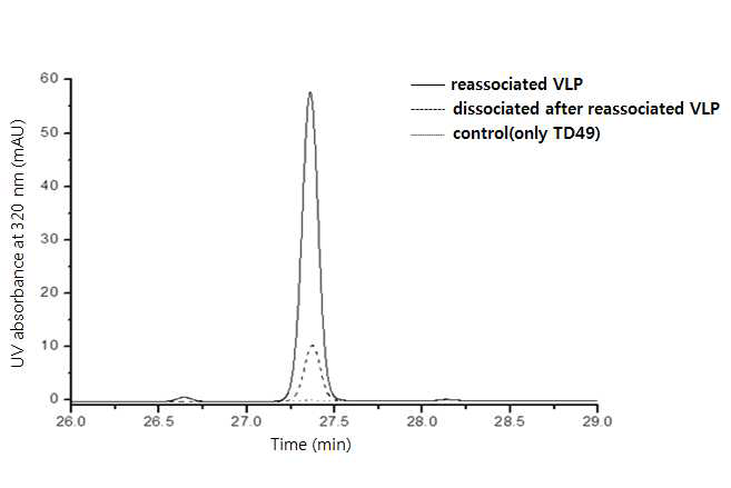 Detection of TD49 encapsulated in reassociated VLPs and dissociated VLPs after reassociation process