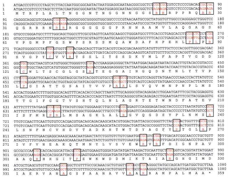 HcRNAV109 유전자의 원서열 (1열), 효모에서 변경된 서열 (2열)과 아미노산 서열 (3열).