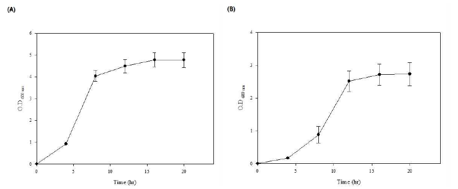 Effect of agitation and aeration on the growth of recombinant HcRNAV34 capsid protein in E.coli BL21(DE3)