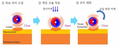 생검 메커니즘 구동 방법