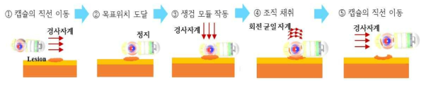 생검모듈 통합 캡슐의 이동 및 생검 구현 방법