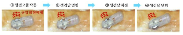 생검모듈 구동 제어 실험