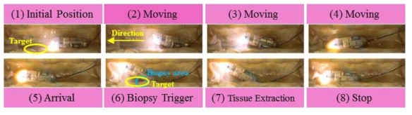 목표 위치 내 생검을 위한 캡슐 구동 방법